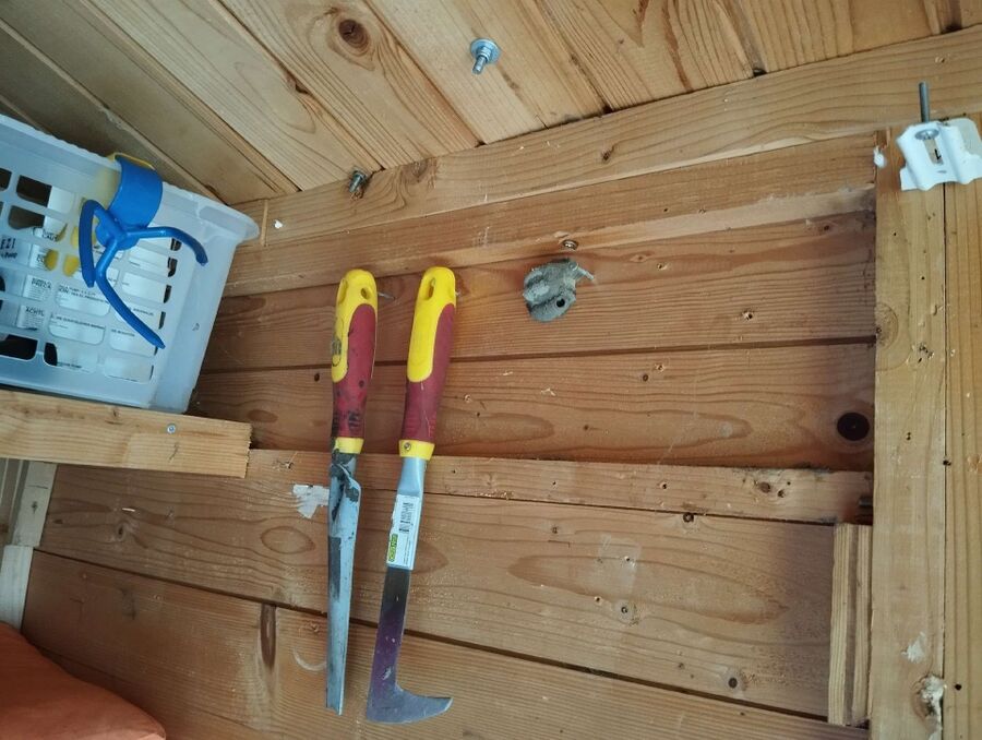 Kammerjaeger-in-Reute (AR).jpg