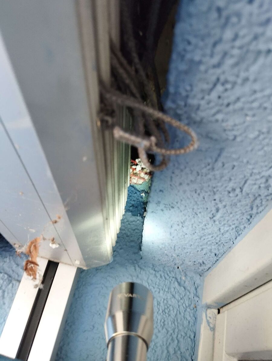 Kammerjaeger-in-Teufen (AR).jpg