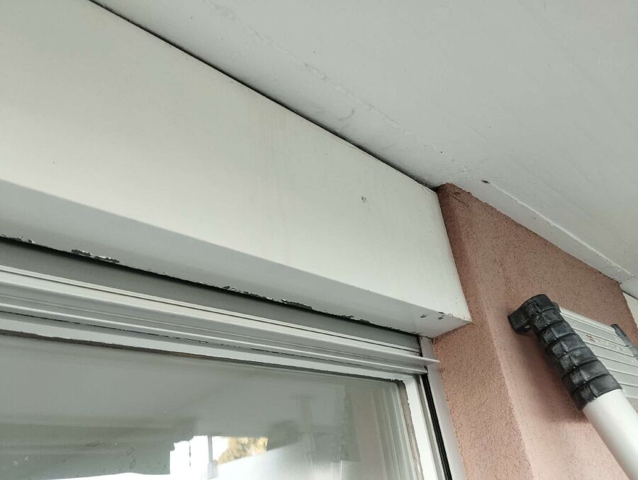 Kammerjaeger-in-Buch (SH).jpg