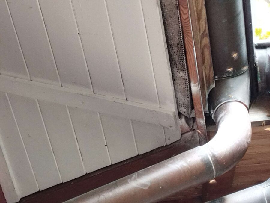 Kammerjaeger-in-Lohn (SH).jpg