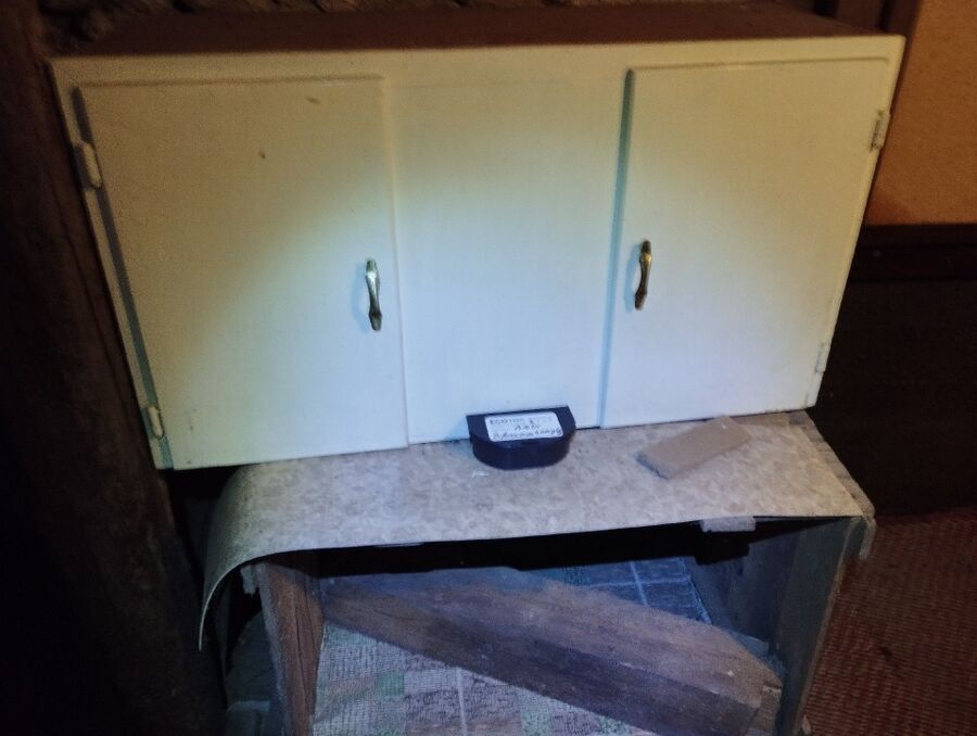 Kammerjaeger-Affoltern am Albis-Beratung.jpg