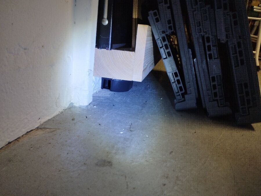 Kammerjaeger-Hausen am Albis-Beratung.jpg