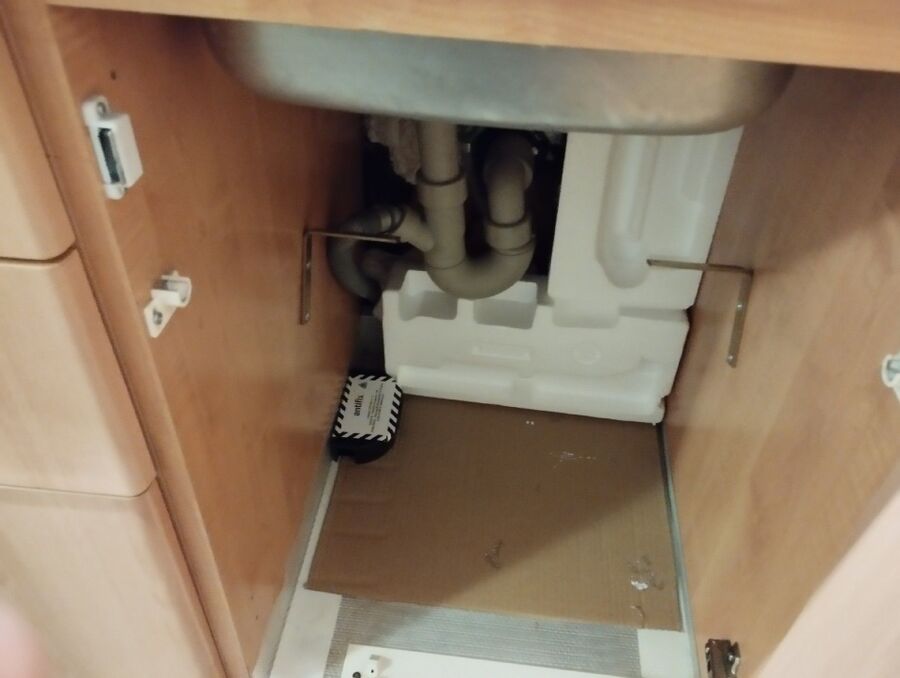 Kammerjaeger-Deisswil bei Münchenbuchsee-Beratung.JPG