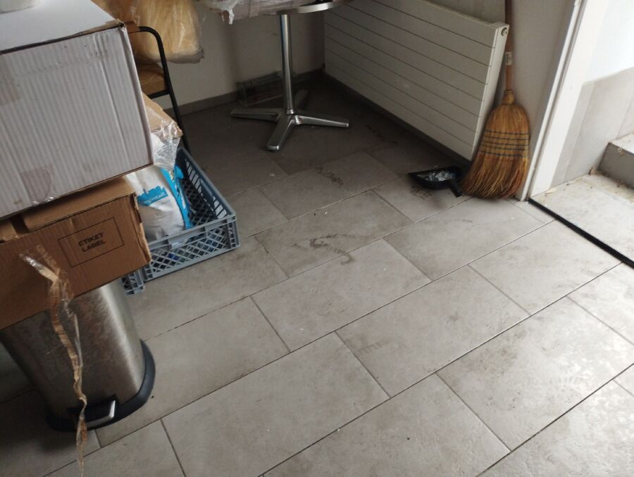 Kammerjaeger-Langnau am Albis-Beratung.jpg