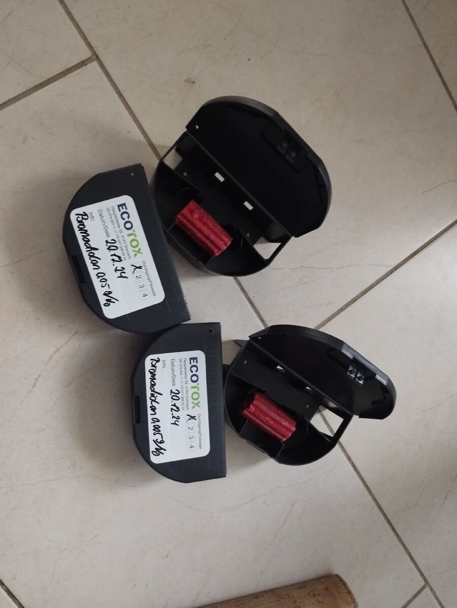 Kammerjaeger-Arni (BE)-Beratung.JPG