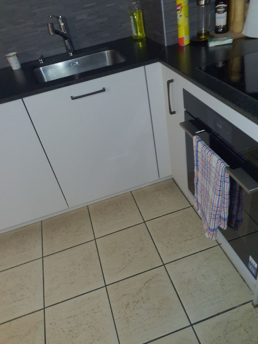 Kammerjaeger-Bargen (BE)-Beratung.JPG