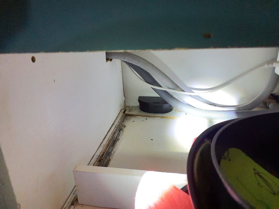 anti nuisibles a--Beratung (290).jpeg