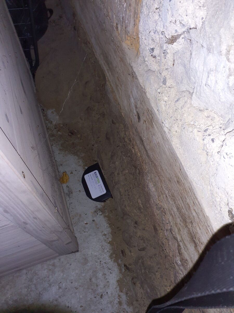 Kammerjaeger-Brienz (BE)-Beratung.JPG