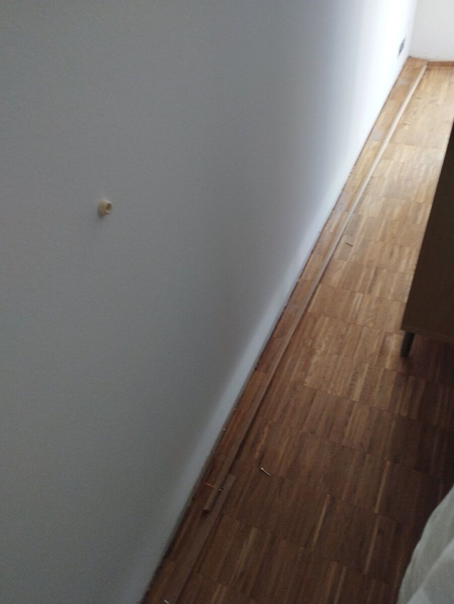 Kammerjäger-in-der-naehe-Inspektion.jpeg