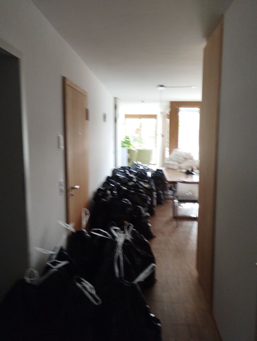 Kammerjäger-in-der-naehe-Inspektion.jpeg