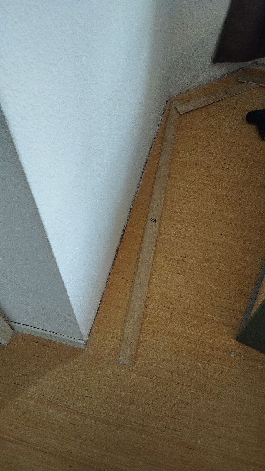 Kammerjäger-in-Hochfelden-Inspektion.jpeg