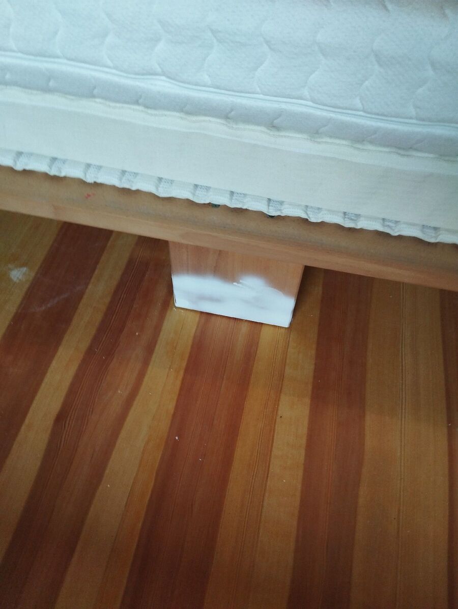 Kammerjäger-in-Rickenbach (ZH)-Inspektion.jpeg