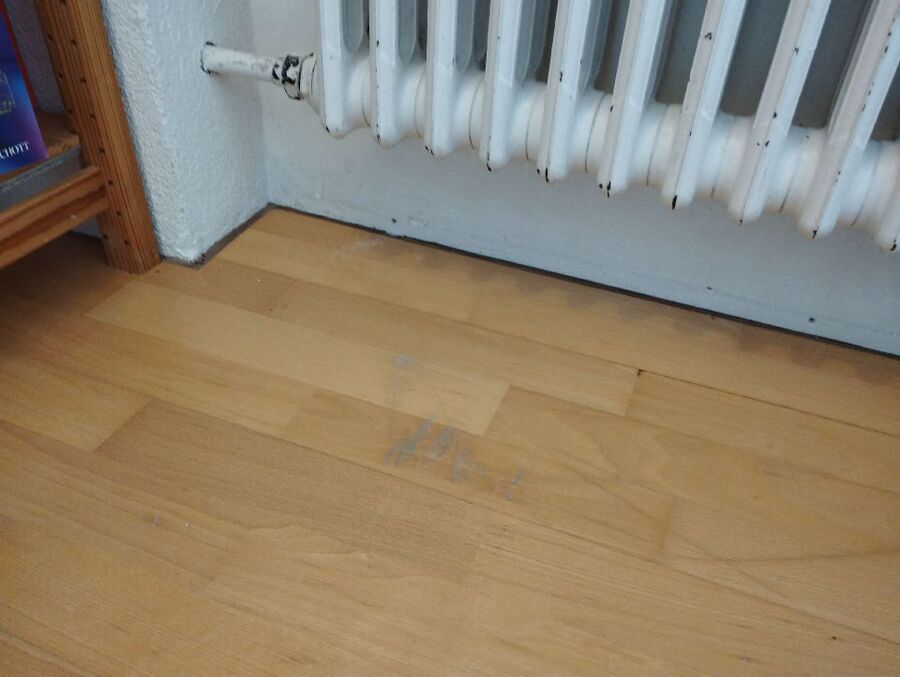 Kammerjäger-Bremgarten bei Bern-Einsatzvorbereitung.jpeg