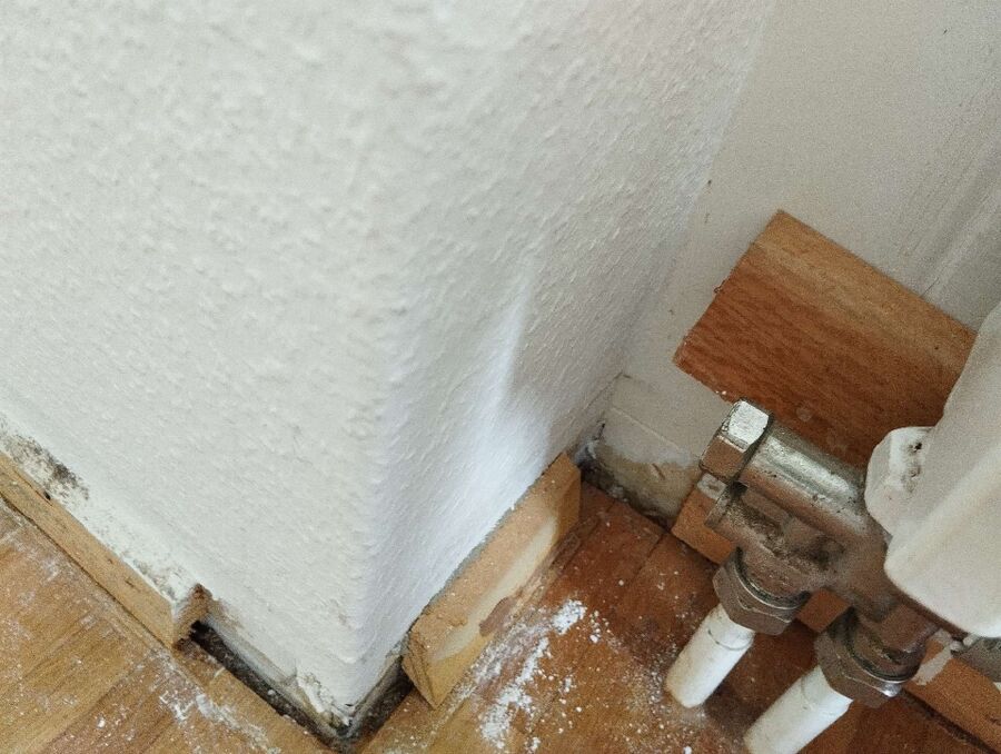 Kammerjäger-Büren an der Aare-Einsatzvorbereitung.jpeg