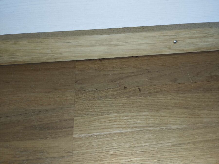 Kammerjäger-Busswil bei Melchnau-Einsatzvorbereitung.jpeg