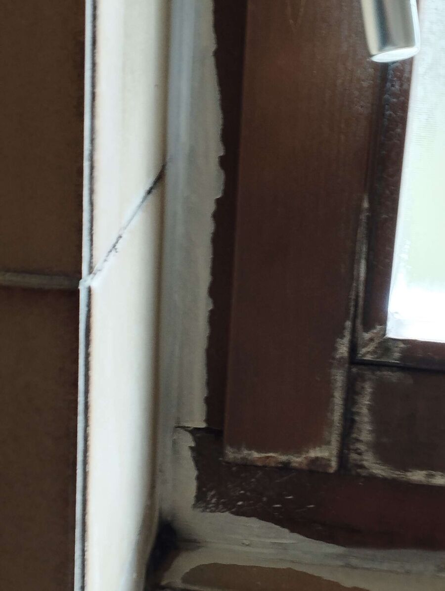 Kammerjäger-Diessbach bei Büren-Einsatzvorbereitung.jpeg