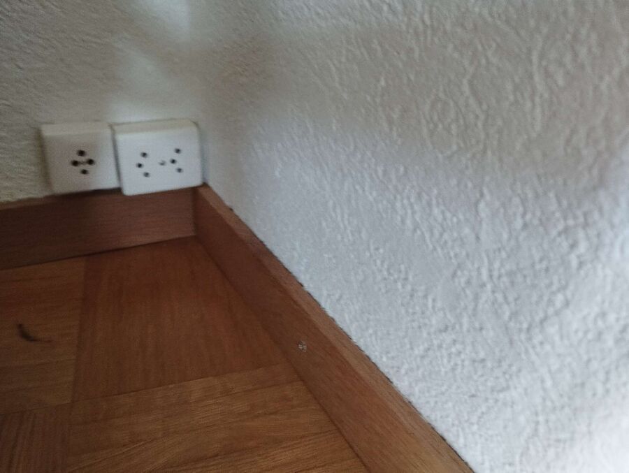 Kammerjäger-Wettswil am Albis-Einsatzvorbereitung.jpeg