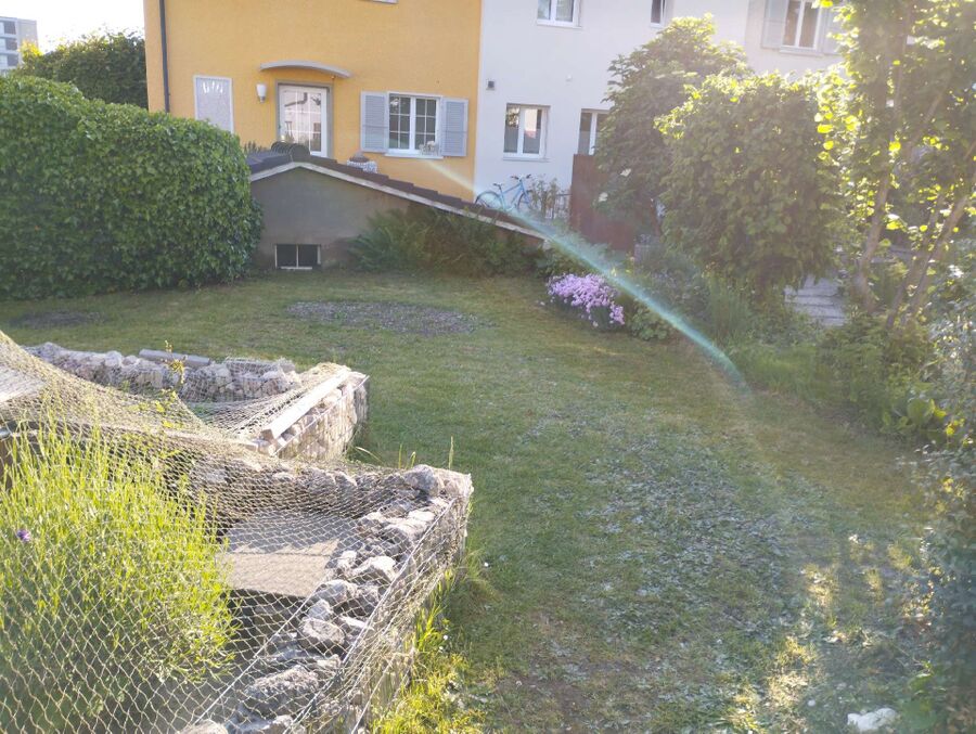 Kammerjäger-Einsatzvorbereitung.jpeg