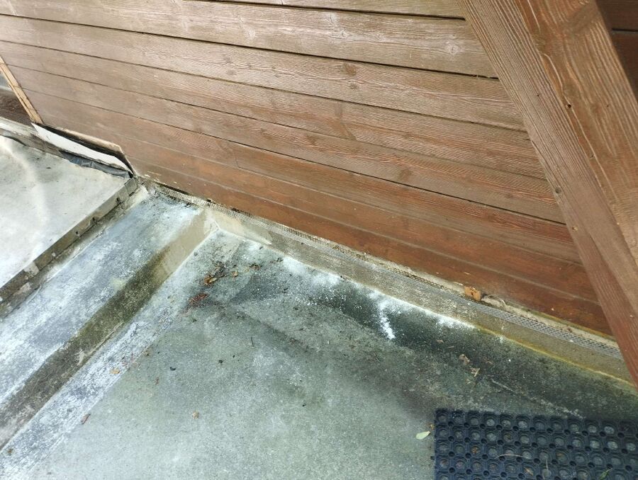 Kammerjäger-Erlenbach (ZH)-Einsatzvorbereitung.jpeg