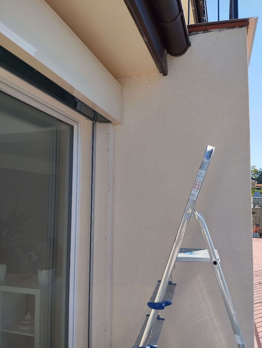 Kammerjaeger-in-Affoltern am Albis.jpg