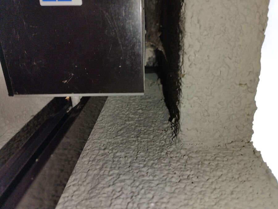 Kammerjaeger-in-Erlenbach (ZH).jpg