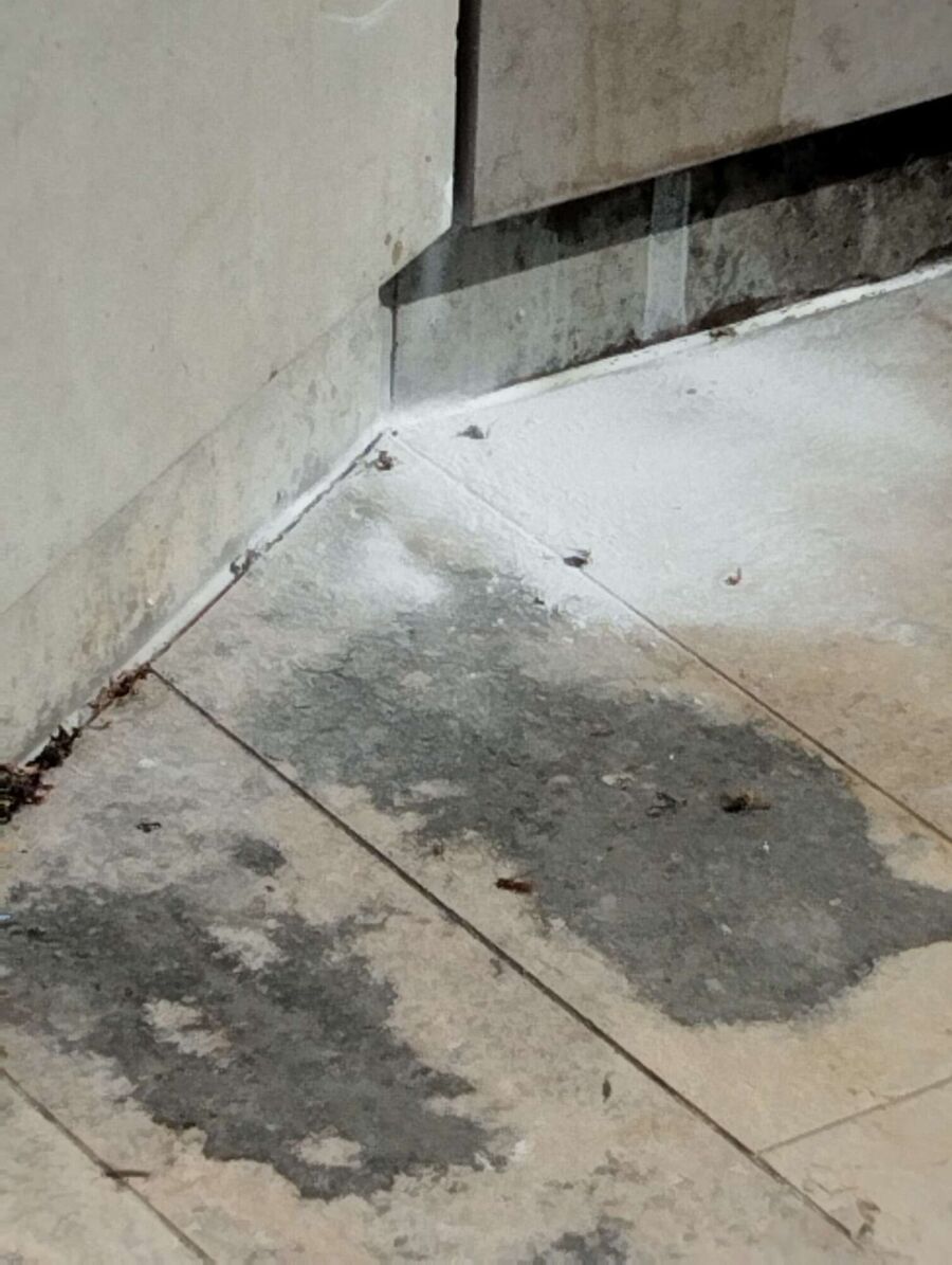 Kammerjaeger-in-Küsnacht (ZH).jpg