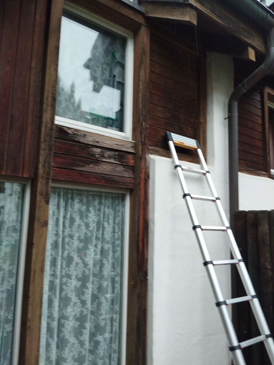 Kammerjaeger-in-Rüti (ZH).jpg