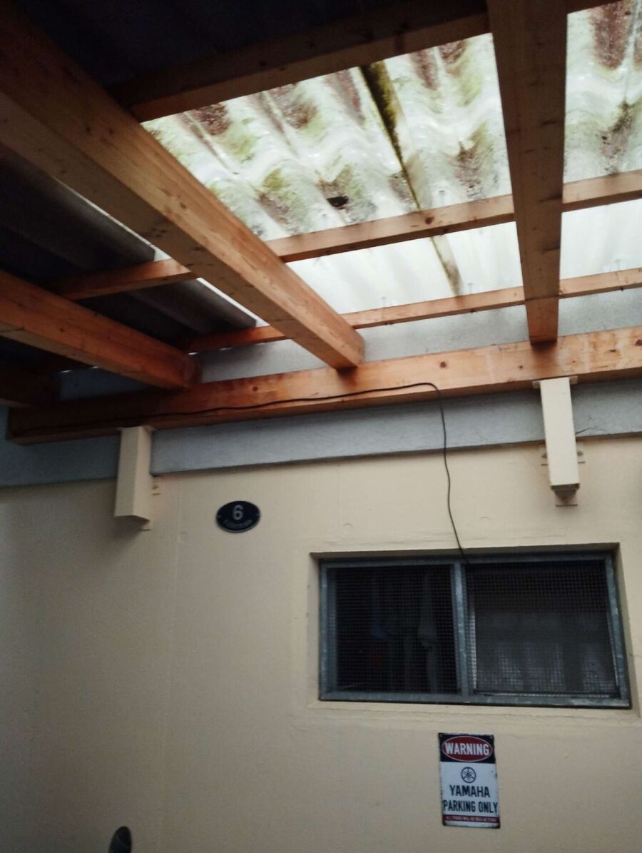 Kammerjaeger-in-Schlatt (ZH).jpg