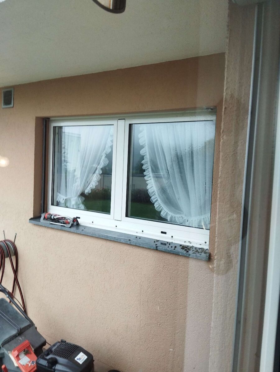 Kammerjaeger-in-Thalheim an der Thur.jpg