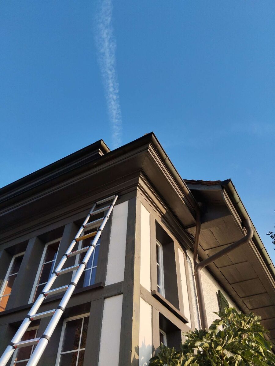 Kammerjaeger-in-Weiningen (ZH).jpg