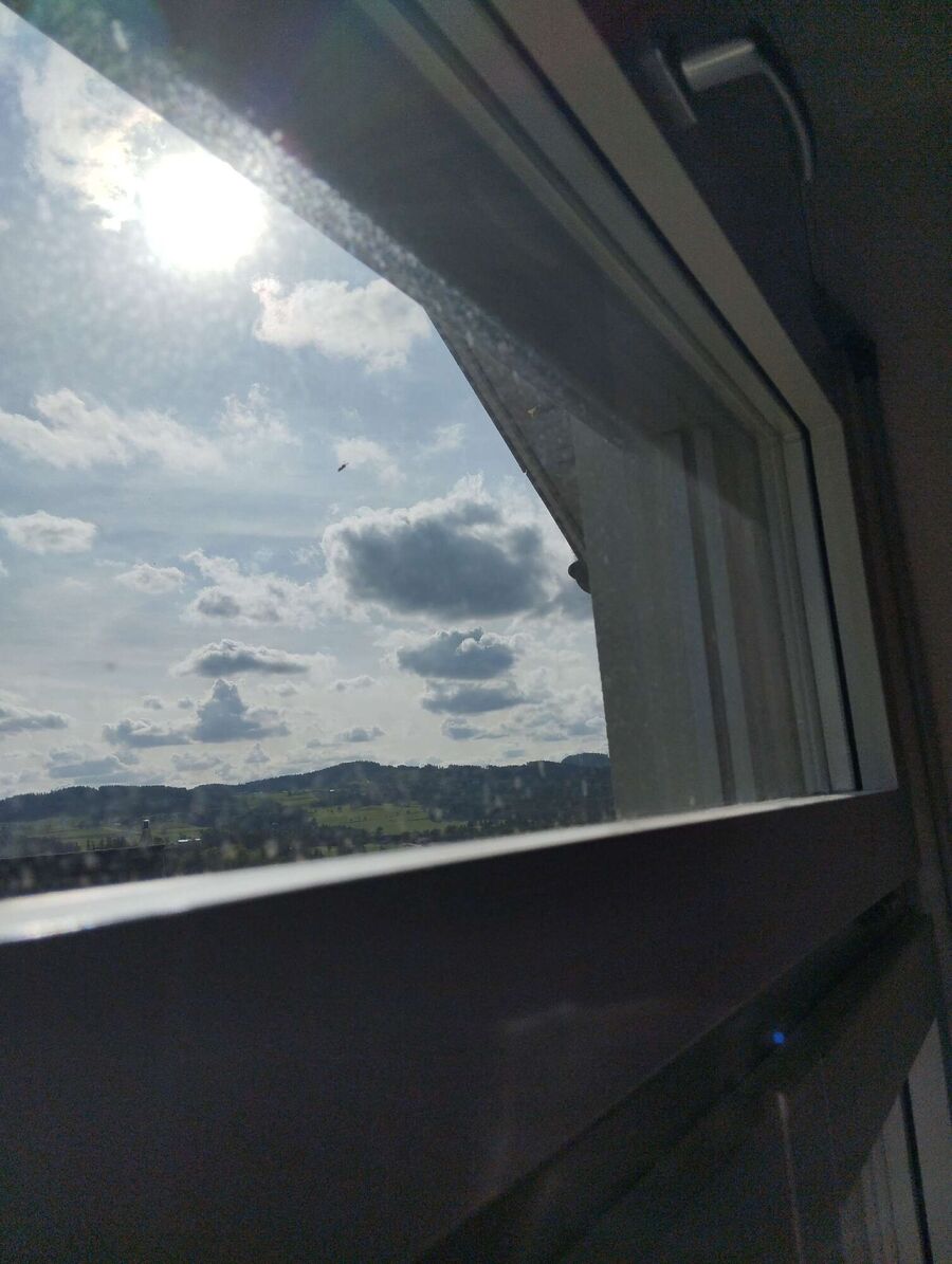 Kammerjaeger-in-Wettswil am Albis.jpg