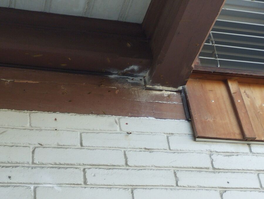 Kammerjaeger-in-Wil (ZH).jpg