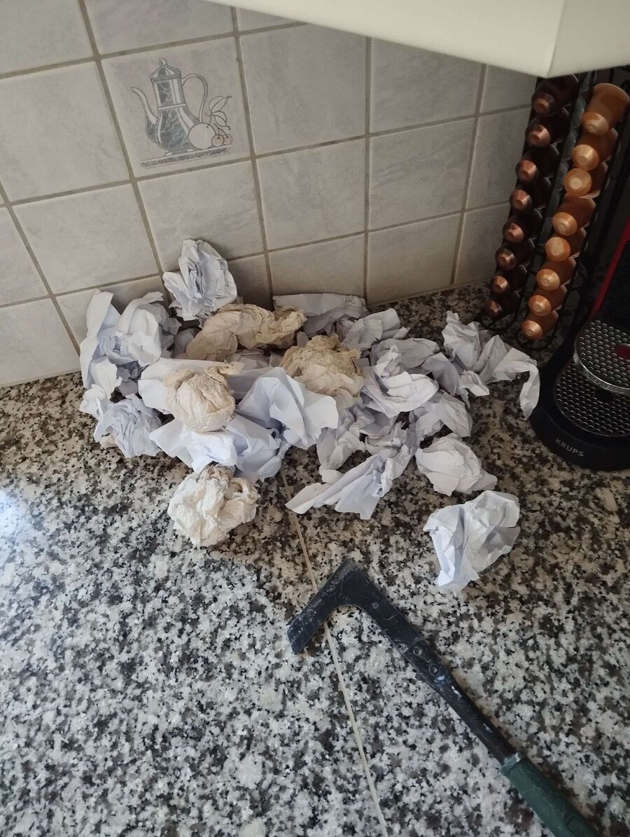 Kammerjaeger-in-Zell (ZH).jpg