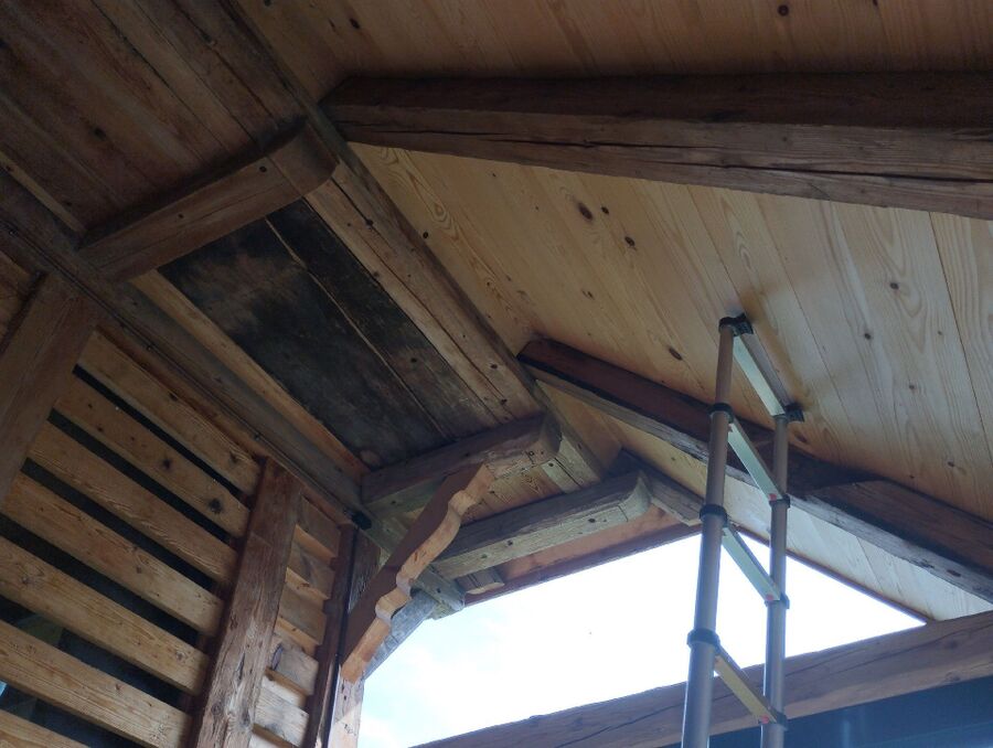 Kammerjaeger-in-Arni (BE).jpg