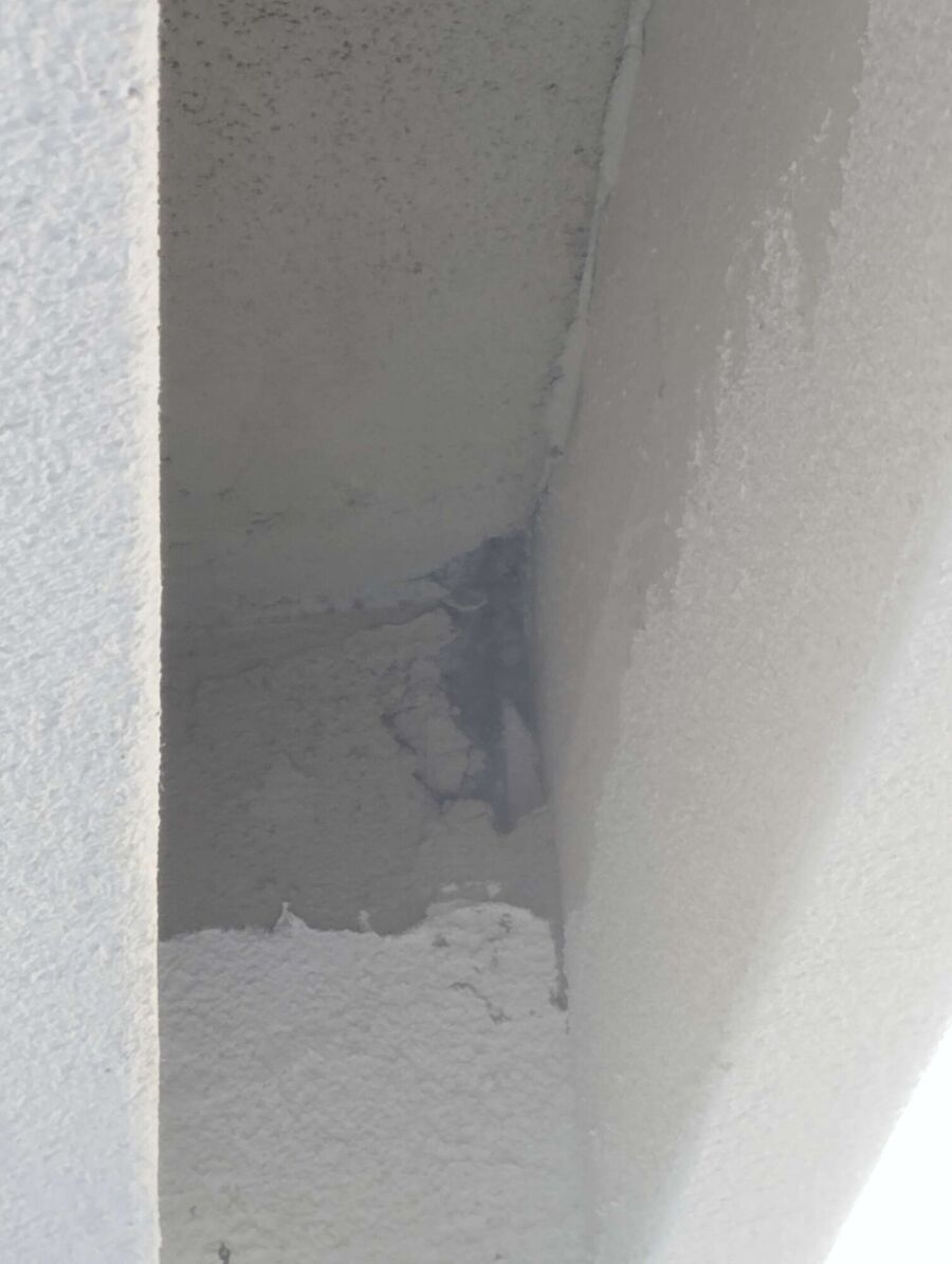 Kammerjaeger-in-Corcelles (BE).jpg