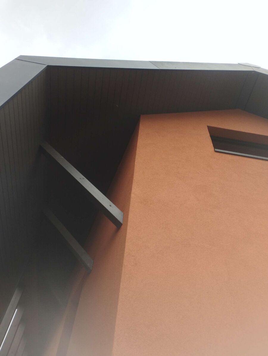 Kammerjaeger-in-Deisswil bei Münchenbuchsee.jpg